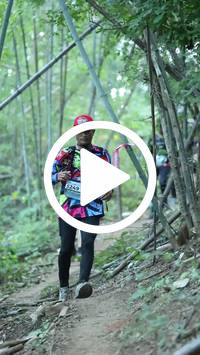 BIB:  <button type="button" onclick="openModal(28039823)" class="btn btn-primary btn-sm float-right" data-toggle="modal" data-target=".modal-high-quality">
                <i class="fa fa-download"></i> Download
                </button>